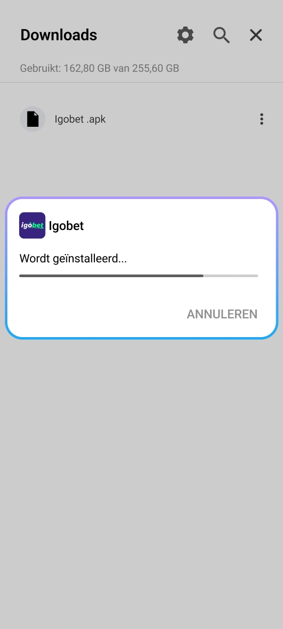 Rond de procedure succesvol af en open de handige IgoBet applicatie.